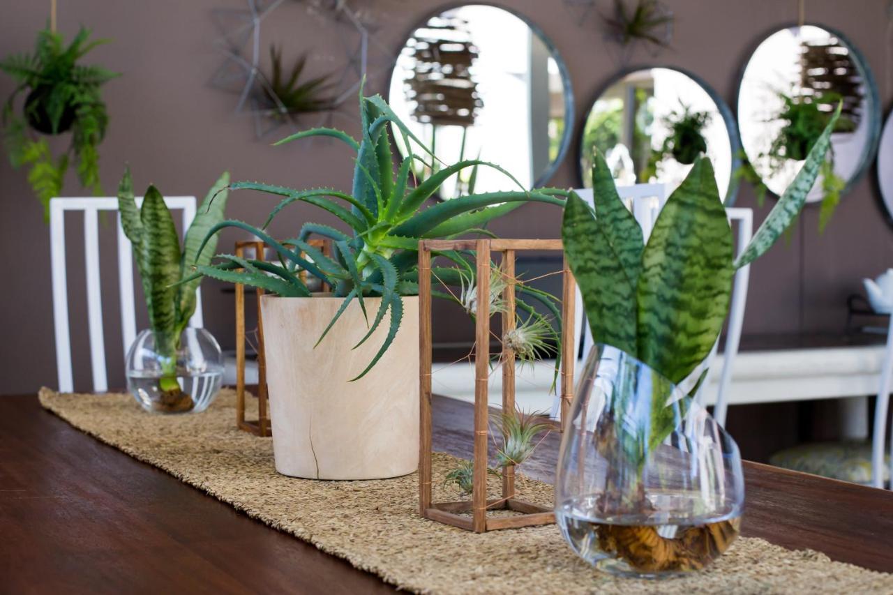 B&B Vinboho Cape Town Ngoại thất bức ảnh