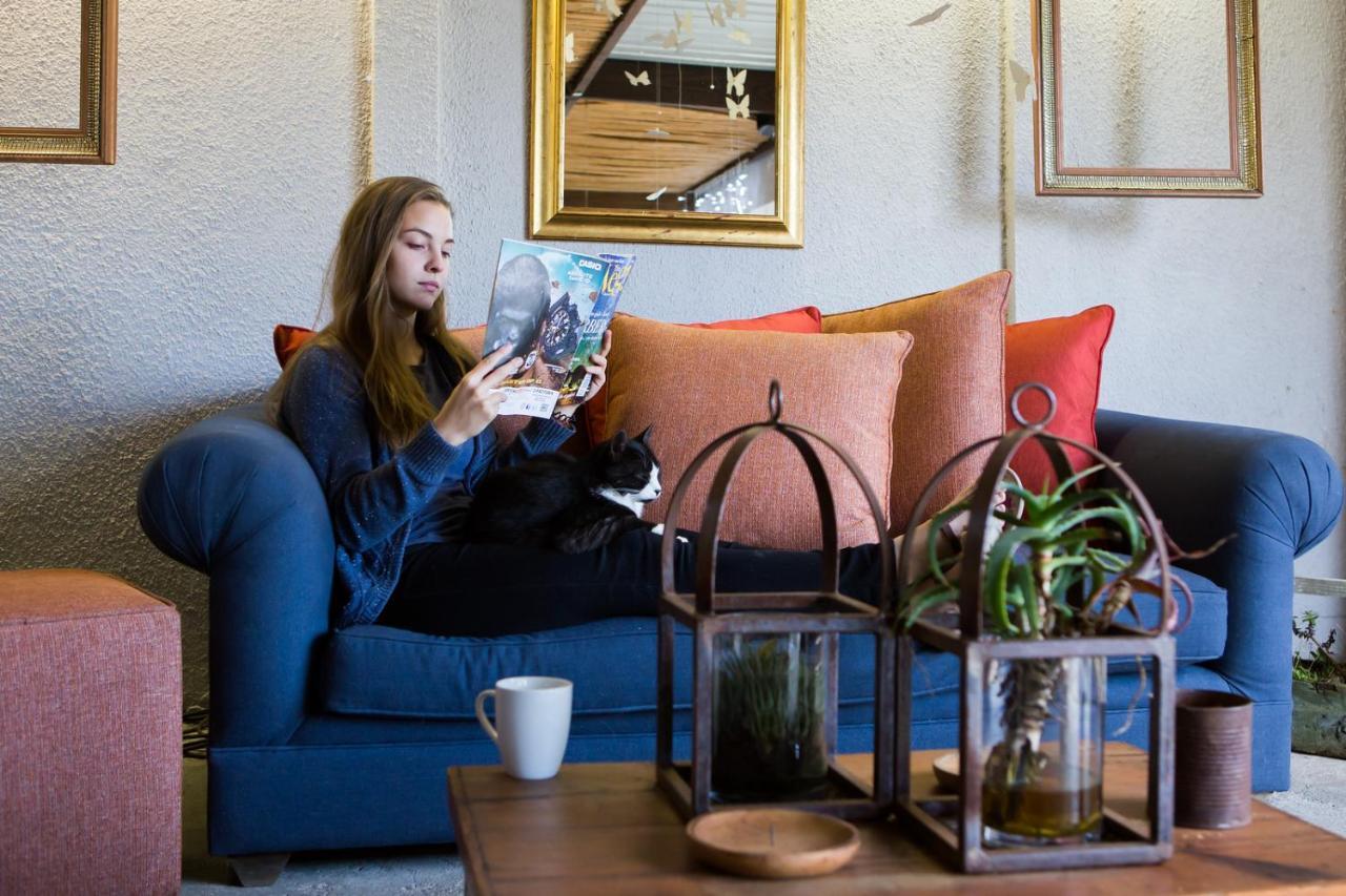 B&B Vinboho Cape Town Ngoại thất bức ảnh