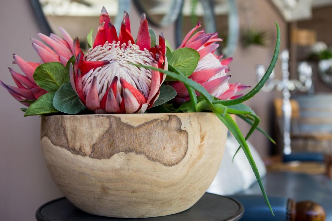 B&B Vinboho Cape Town Ngoại thất bức ảnh
